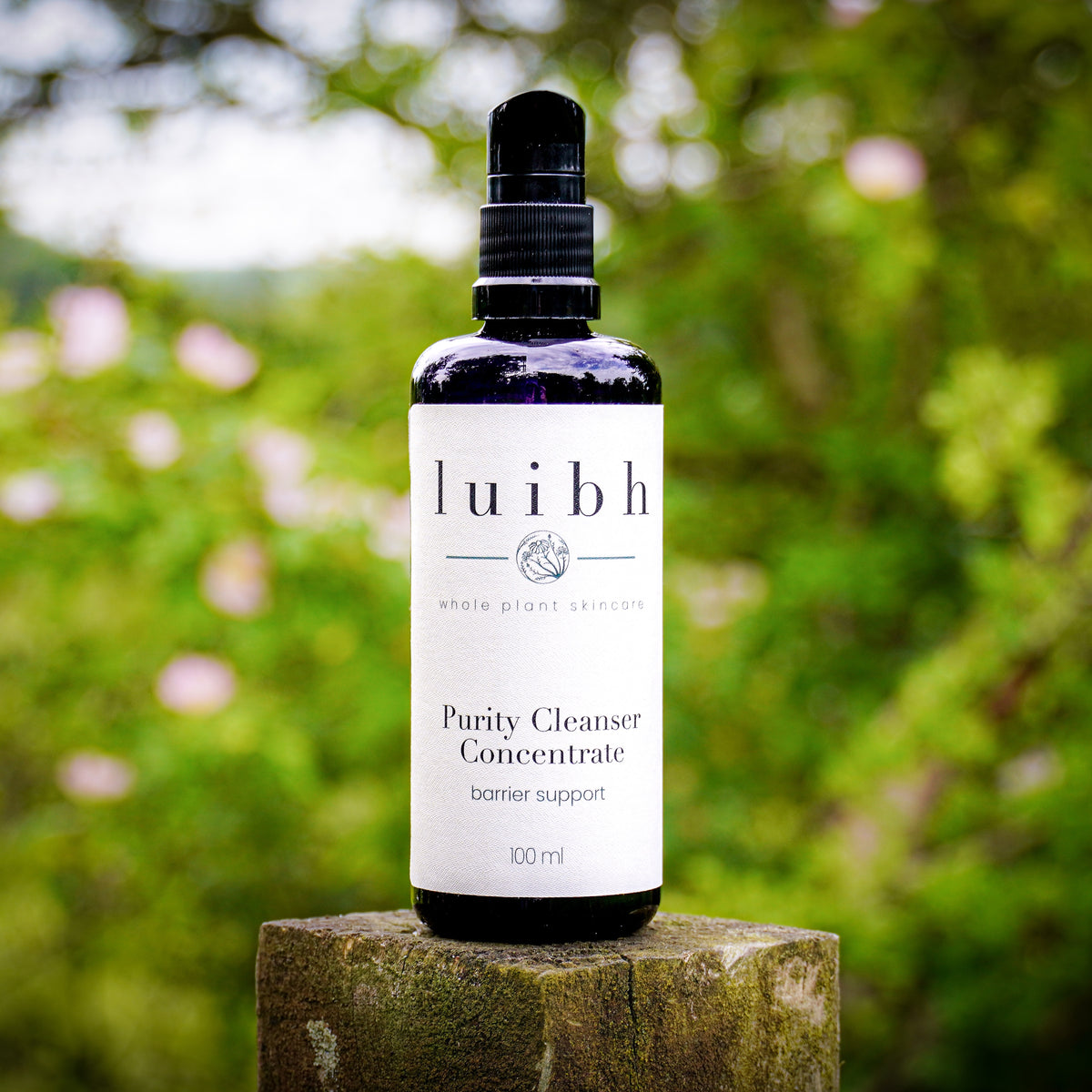 Purity Cleanser Concentrate